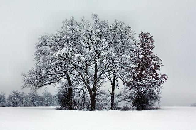 Jahresschlusswanderung